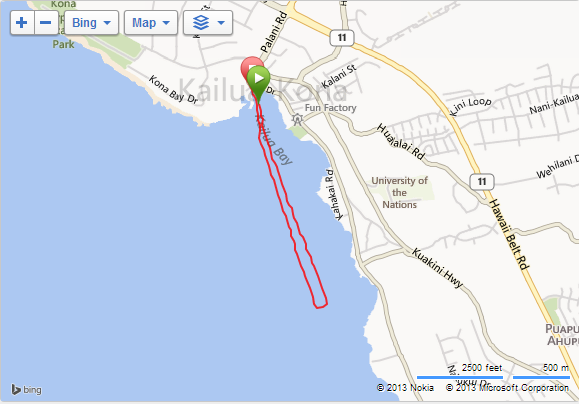 Swim route per garmin.  Surprisingly straight lines.  Maybe I should swim without goggles from now on?